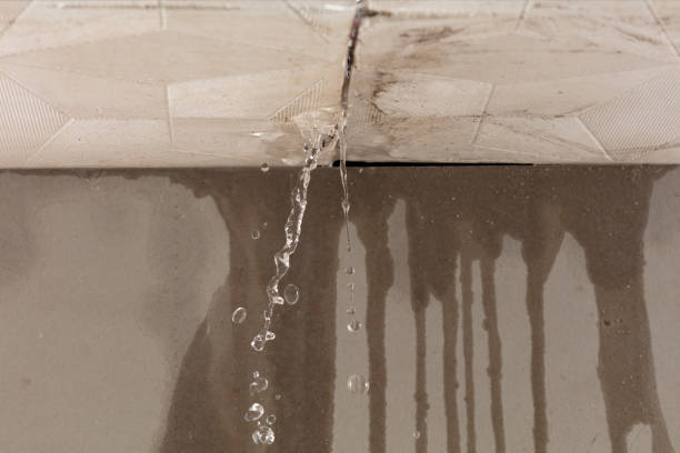 Professional Water Extraction technician working in Oakwood, IL